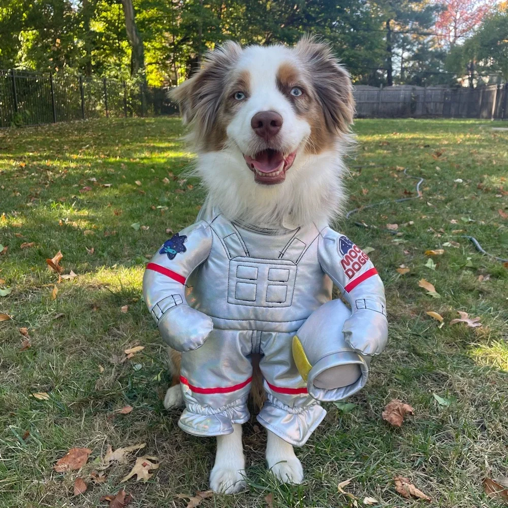 Dog Astronaut Costume - Picture 15 of 15